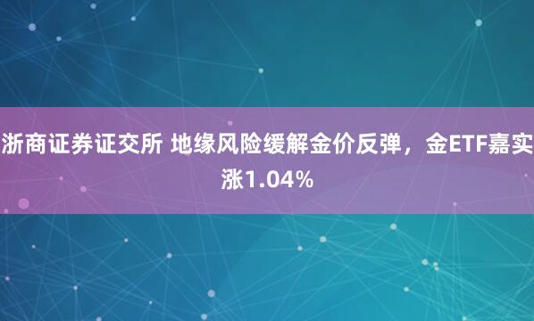 浙商证券证交所 地缘风险缓解金价反弹,金ETF嘉实涨1.04%
