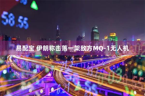 易配宝 伊朗称击落一架敌方MQ-1无人机