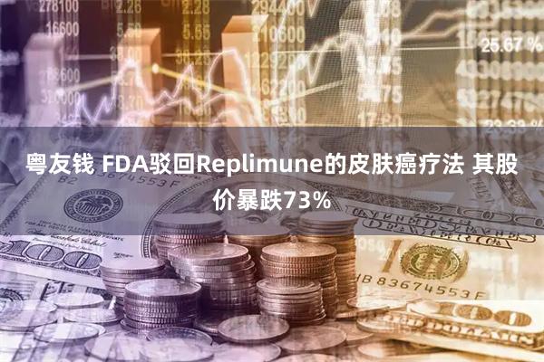 粤友钱 FDA驳回Replimune的皮肤癌疗法 其股价暴跌73%