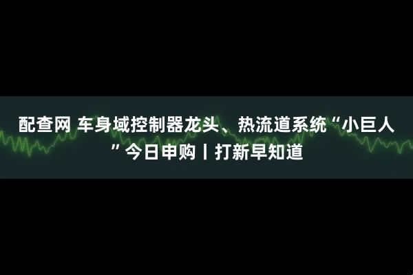 配查网 车身域控制器龙头、热流道系统“小巨人”今日申购丨打新早知道