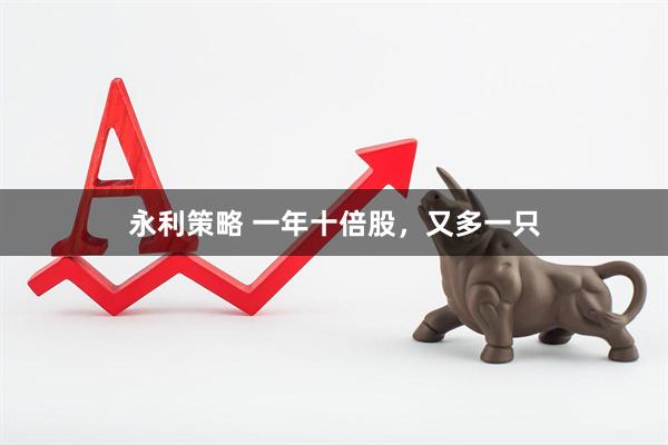 永利策略 一年十倍股,又多一只