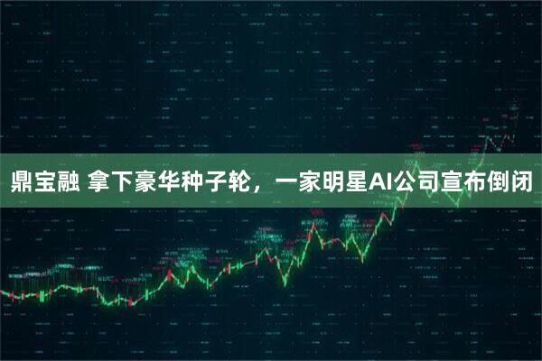 鼎宝融 拿下豪华种子轮，一家明星AI公司宣布倒闭